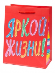 Пакет подарочный